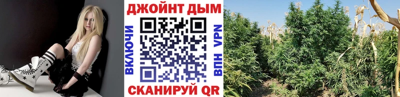 Сколько стоит Старый Оскол АМФ  Alpha PVP  ГАШИШ  МЕФ  МАРИХУАНА 