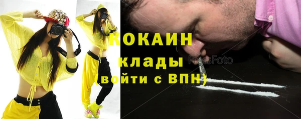 apvp Алексин