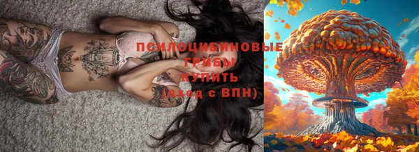 дживик Алексеевка