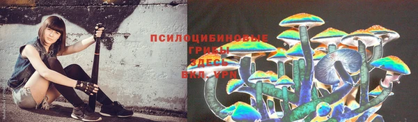 дживик Алексеевка