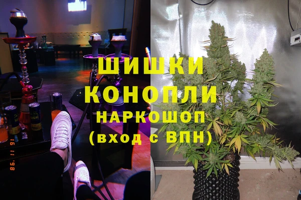 apvp Алексин